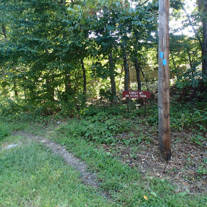 Near 100 Steps Trail