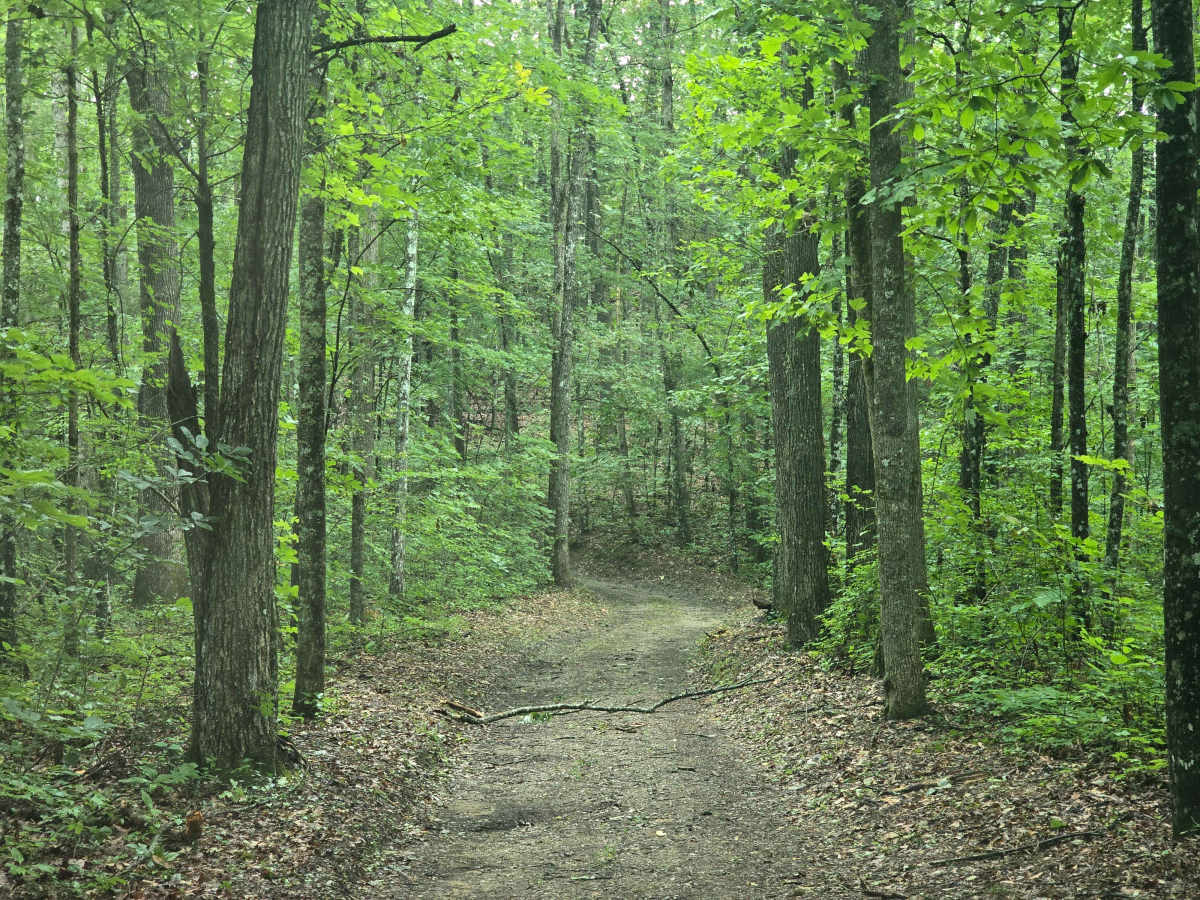 Hatfield Ridge Trail photo 2