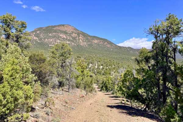 Tulle Creek Road - FS 44422