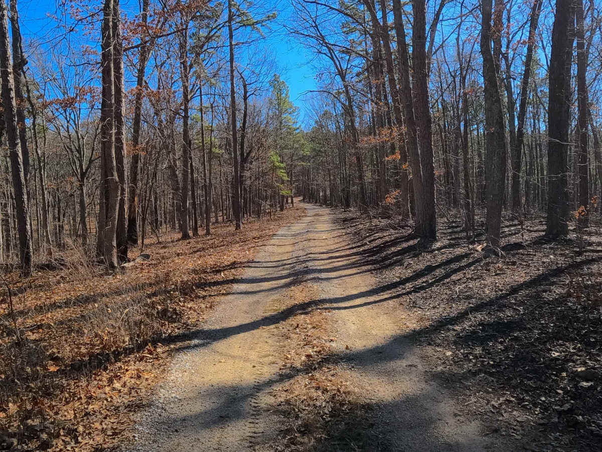 Shirley Ridge - FS 2628 photo 4
