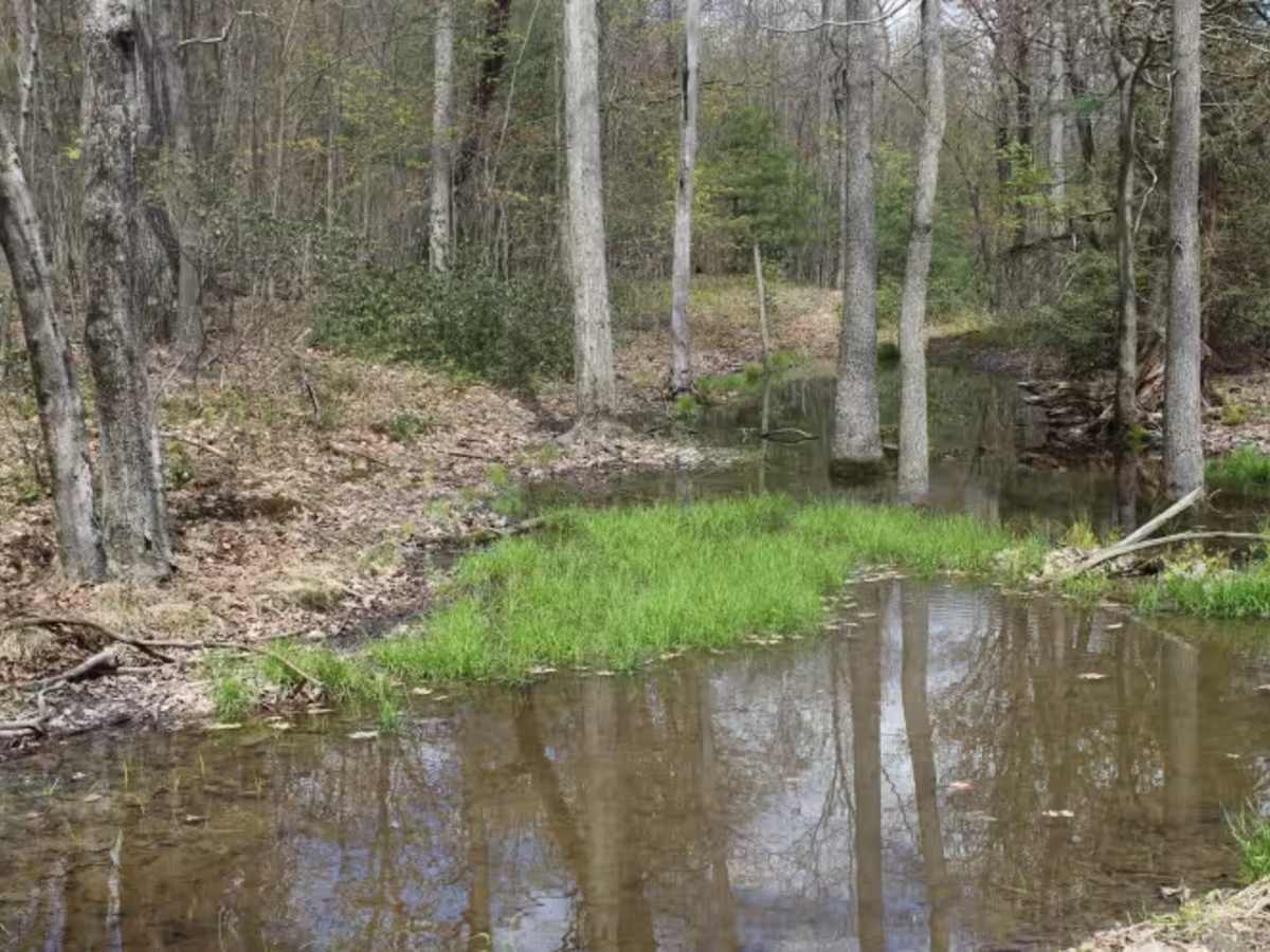 Old Sand Mountain Road photo 4