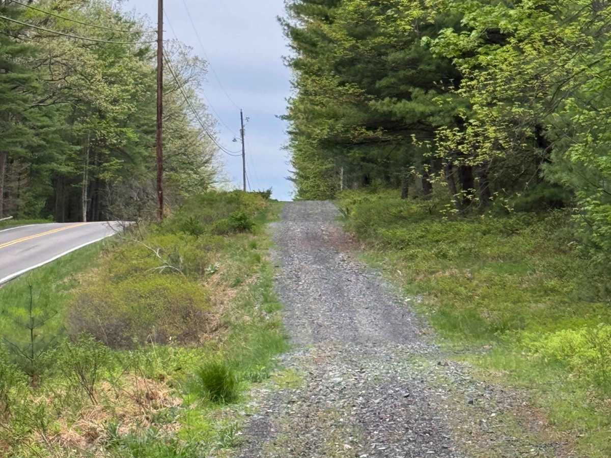 Coudy Pike Trail photo 2