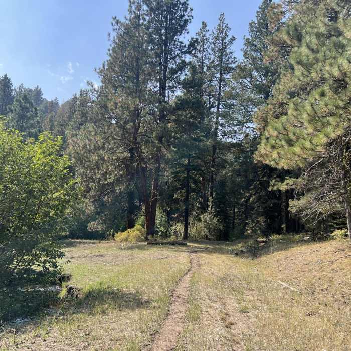 Near Mill Trailhead to Vee Lake