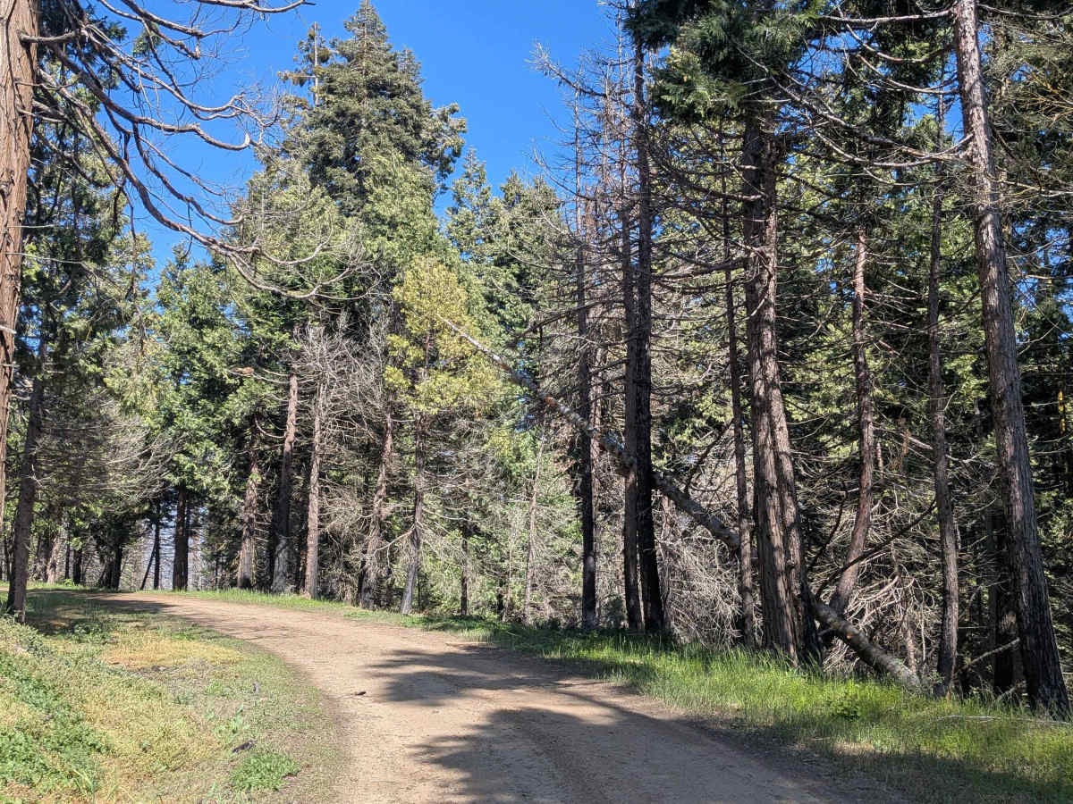 Rancheria Spur - FS 25S15C trail photo