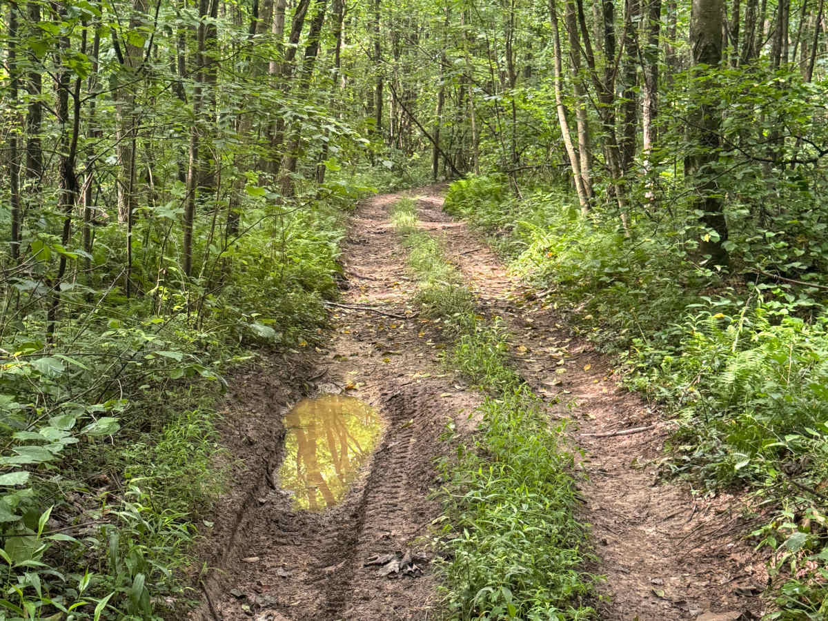 Trail 69 photo 4