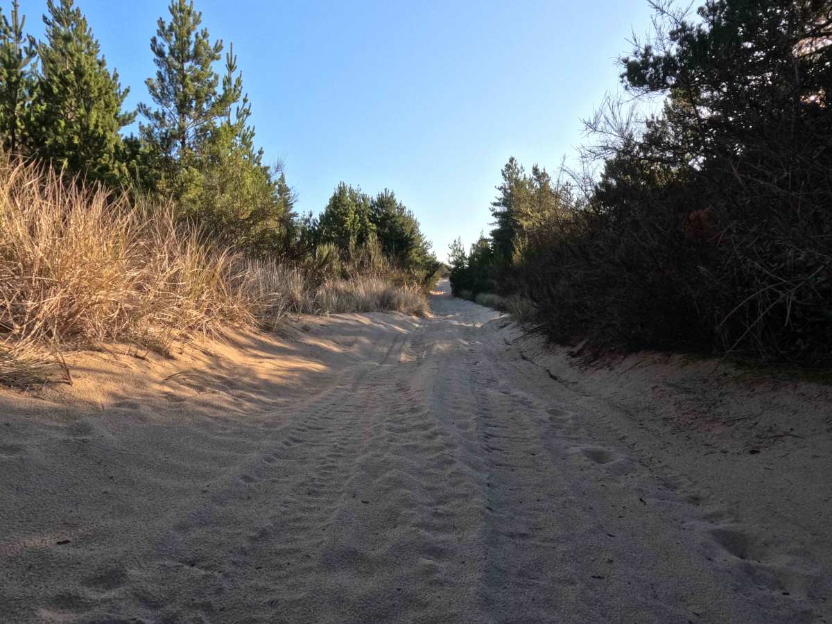 Horsefall OHV Trail photo 6