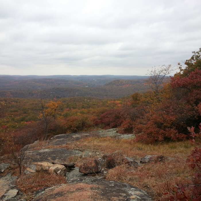 Near Reeve's Brook Trail