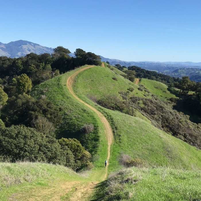 Near Lafayette Ridge Trail