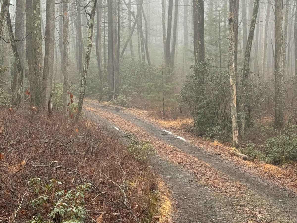 Holland Run Trail photo 6