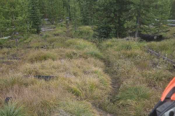 Divide Creek North