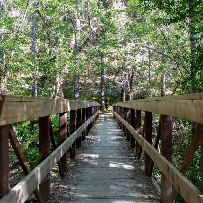 Near Whisky Creek Cabin