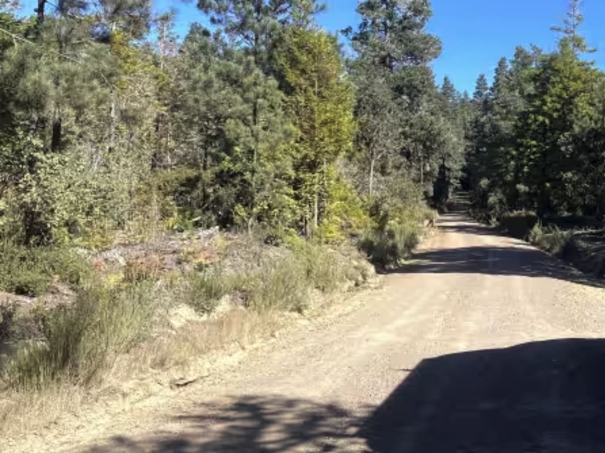 Mendocino County Road 500 photo 6
