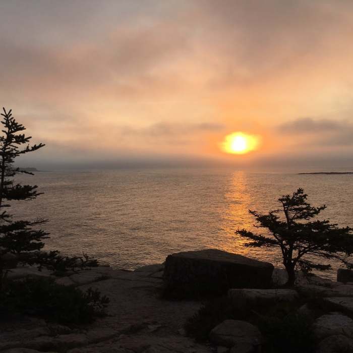 Near Schoodic Head Loop