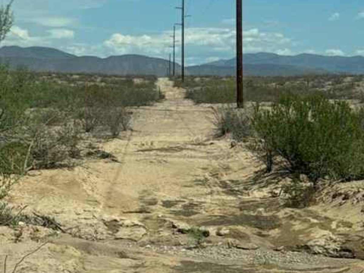 BLM SS1029 photo 2