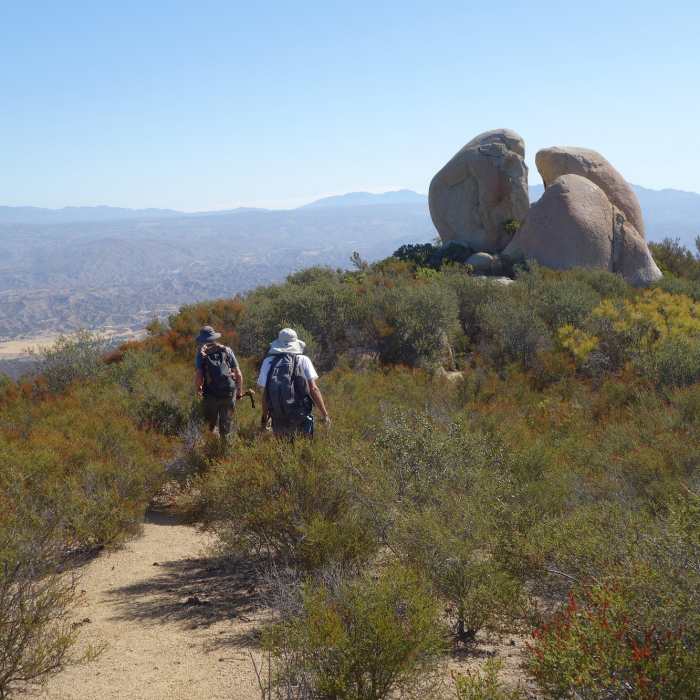 Near Wild Horse Peak