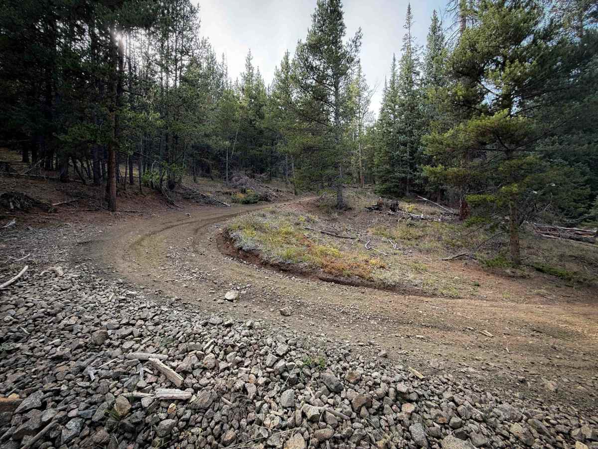 Bald Mountain Trail - FS 644  trail photo