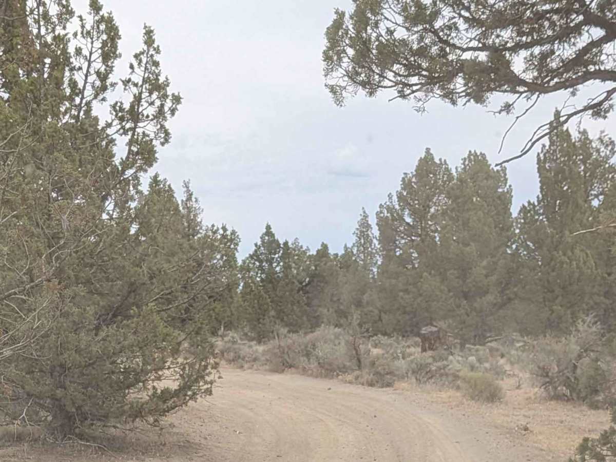 Cline Buttes OHV Trail 32 photo 5