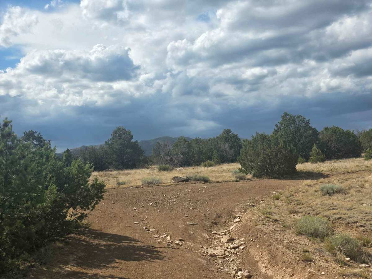 BLM 6101A photo 2