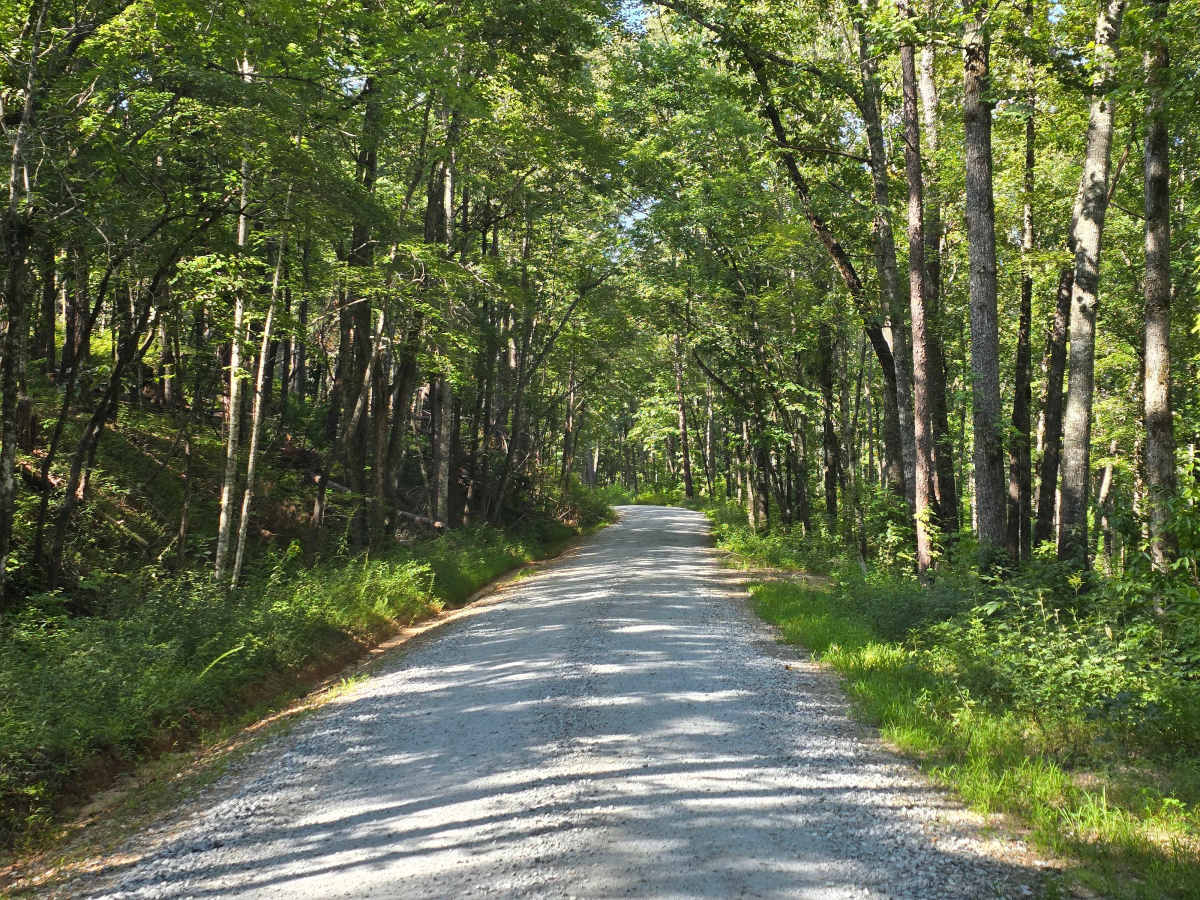 Whetstone Road - FS 721 photo 3