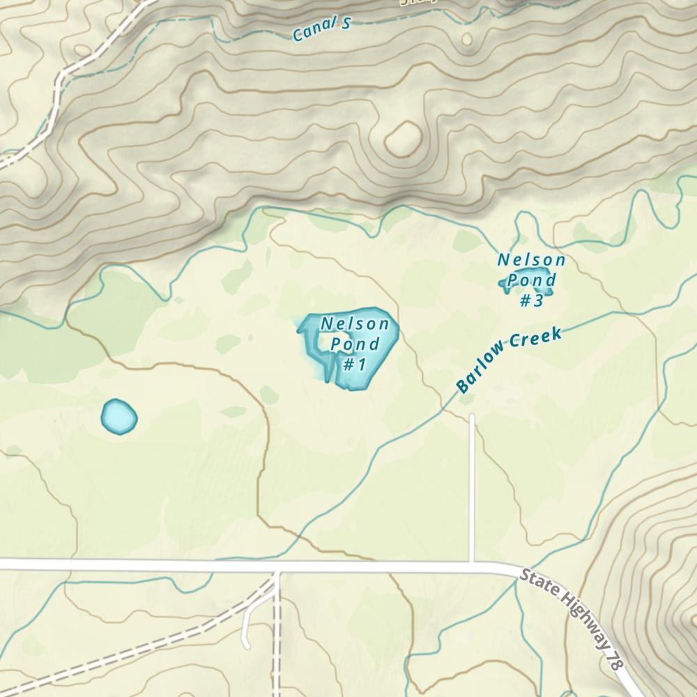 Nelson Pond #1