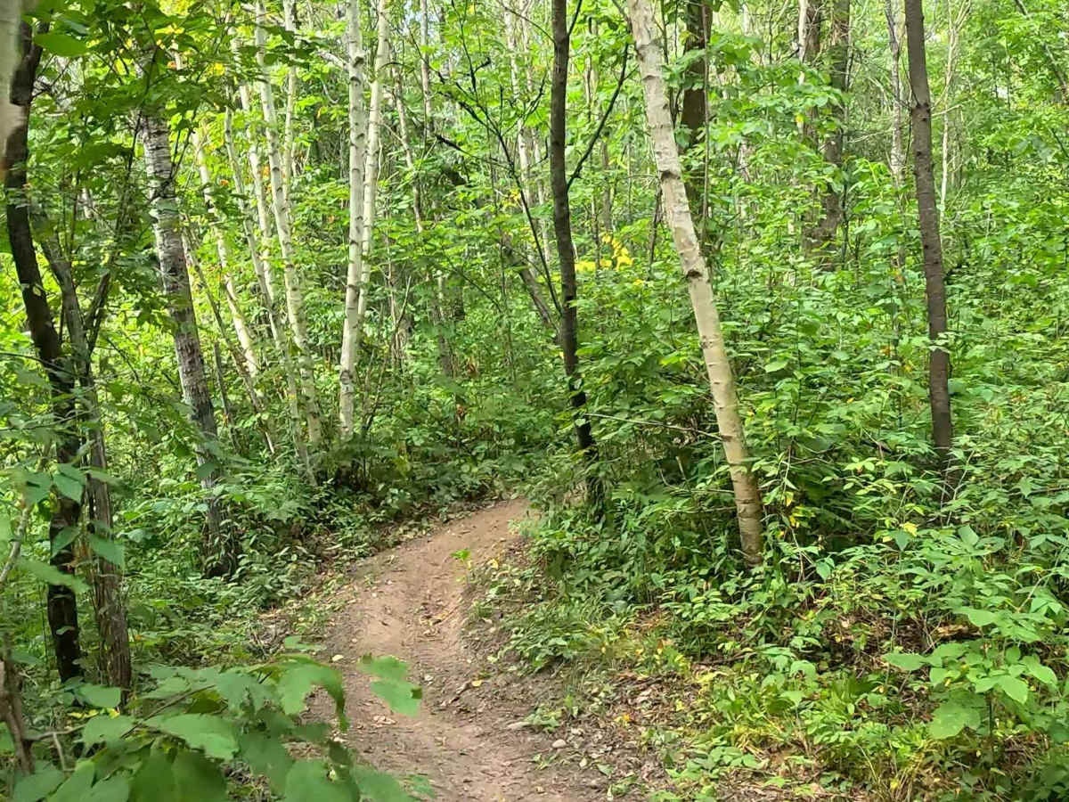 Logger's Run photo 4
