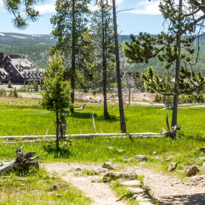 Near Observation Point