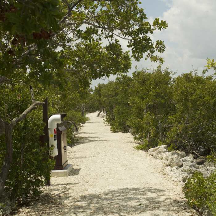 Near Convoy Point Jetty Trail