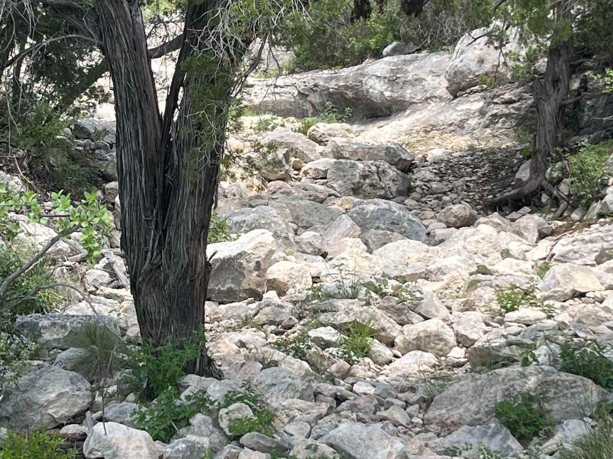 Artie's Revenge - V11 photo 6