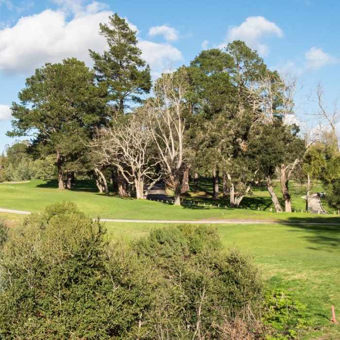 Near Enchanted Trail Hike