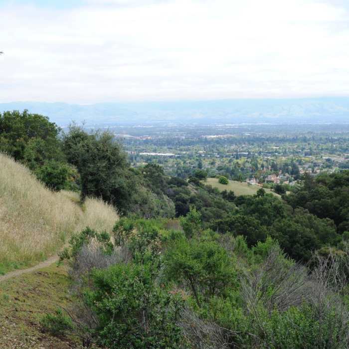 Near Cora and Seven Springs Loop