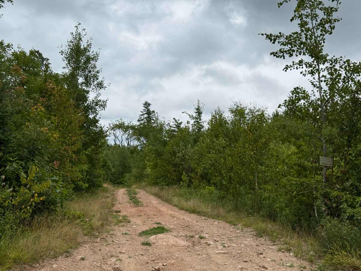 Trout Lake Road photo 2