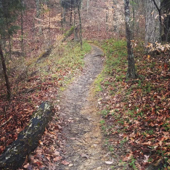 Part of the second downhill section of the Red Trail. Near Red Trail