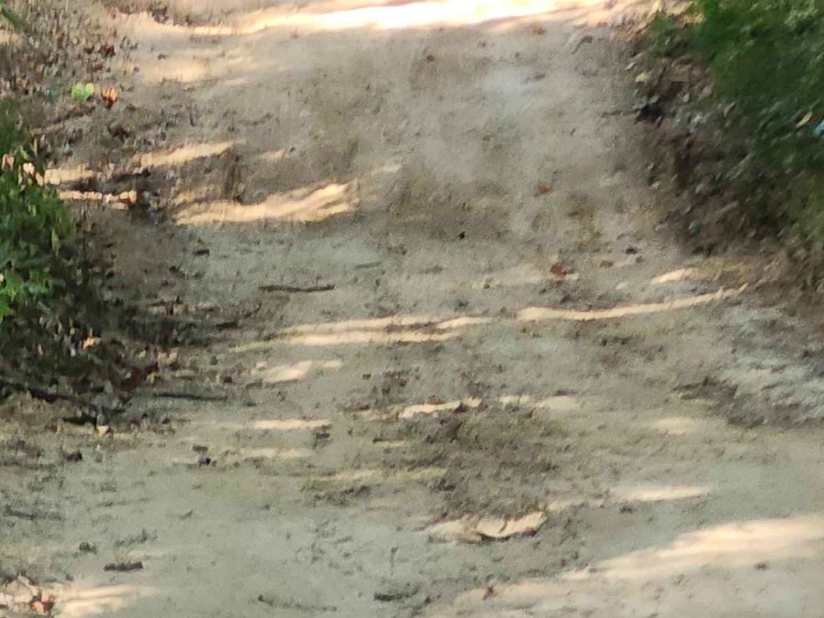 Short Creek Loop Road photo 6