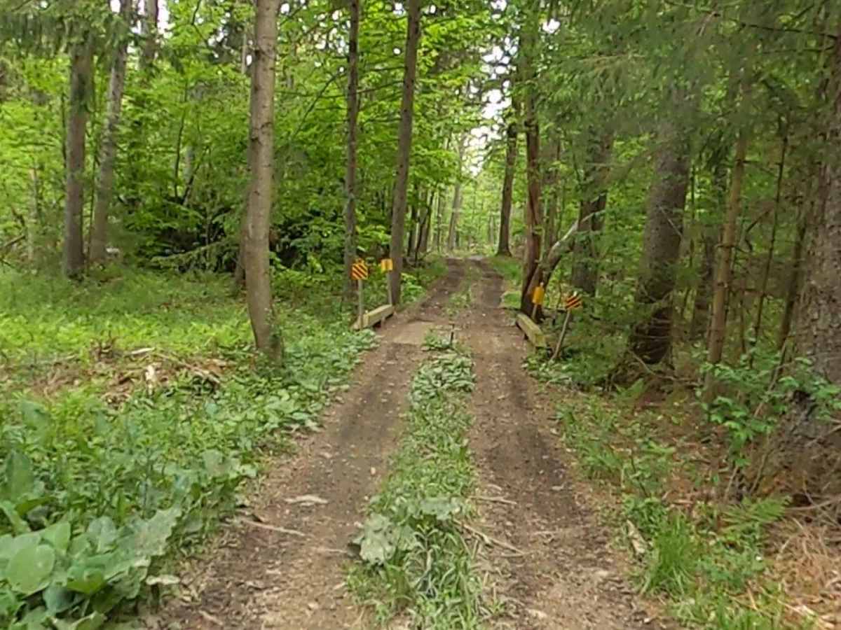 Lewis County Area A - Green Trail photo 5