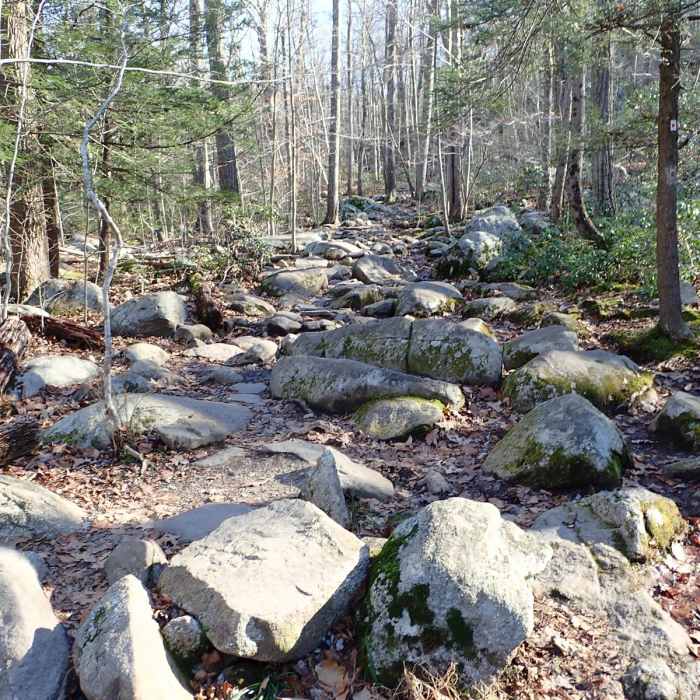 Near Harriman State Park Loop