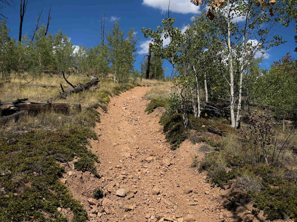 Trail 737  photo 5