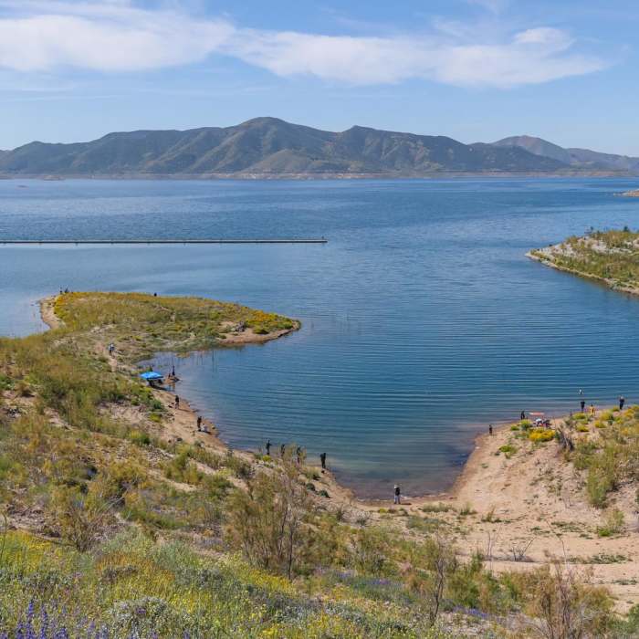 Near Wildflower Trail