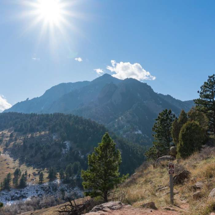 Near Mallory Cave Trail