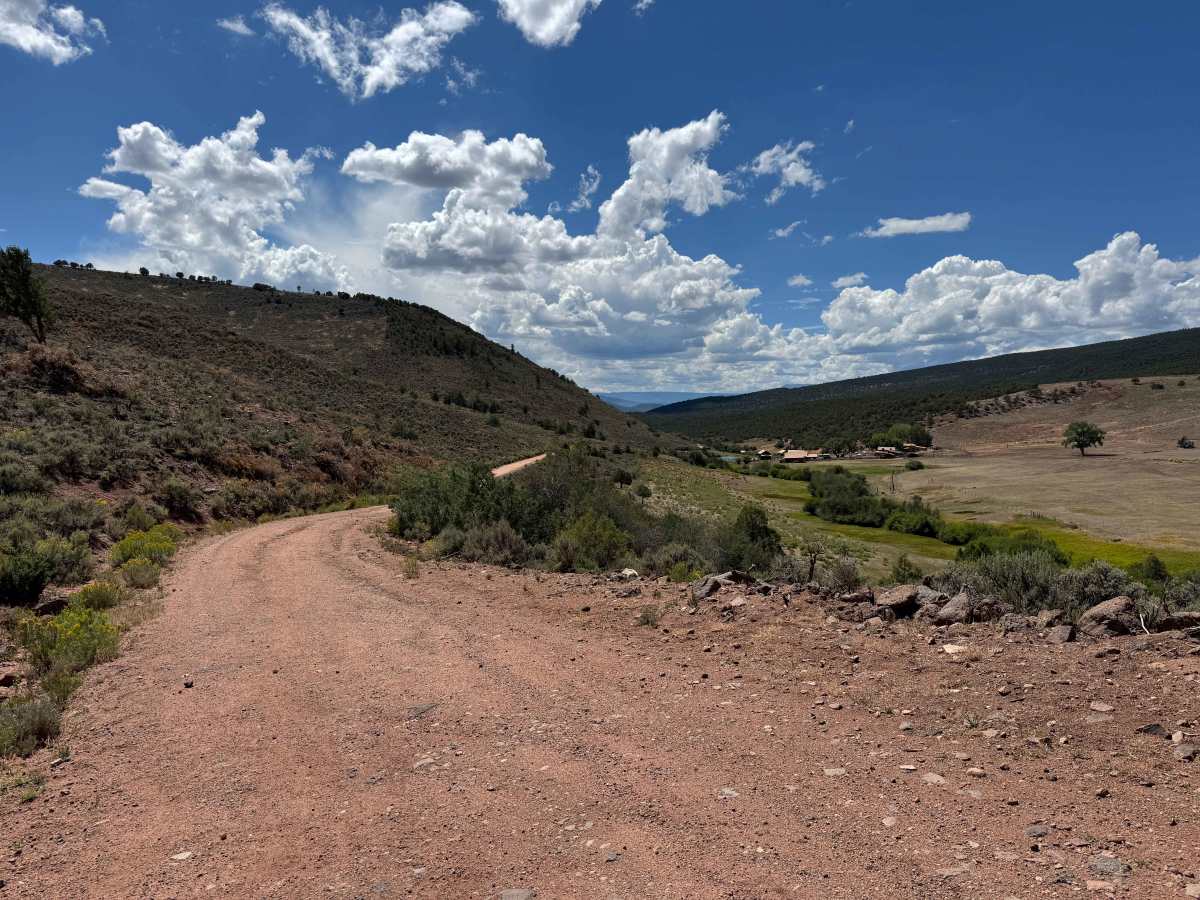 BLM 2723 photo 2