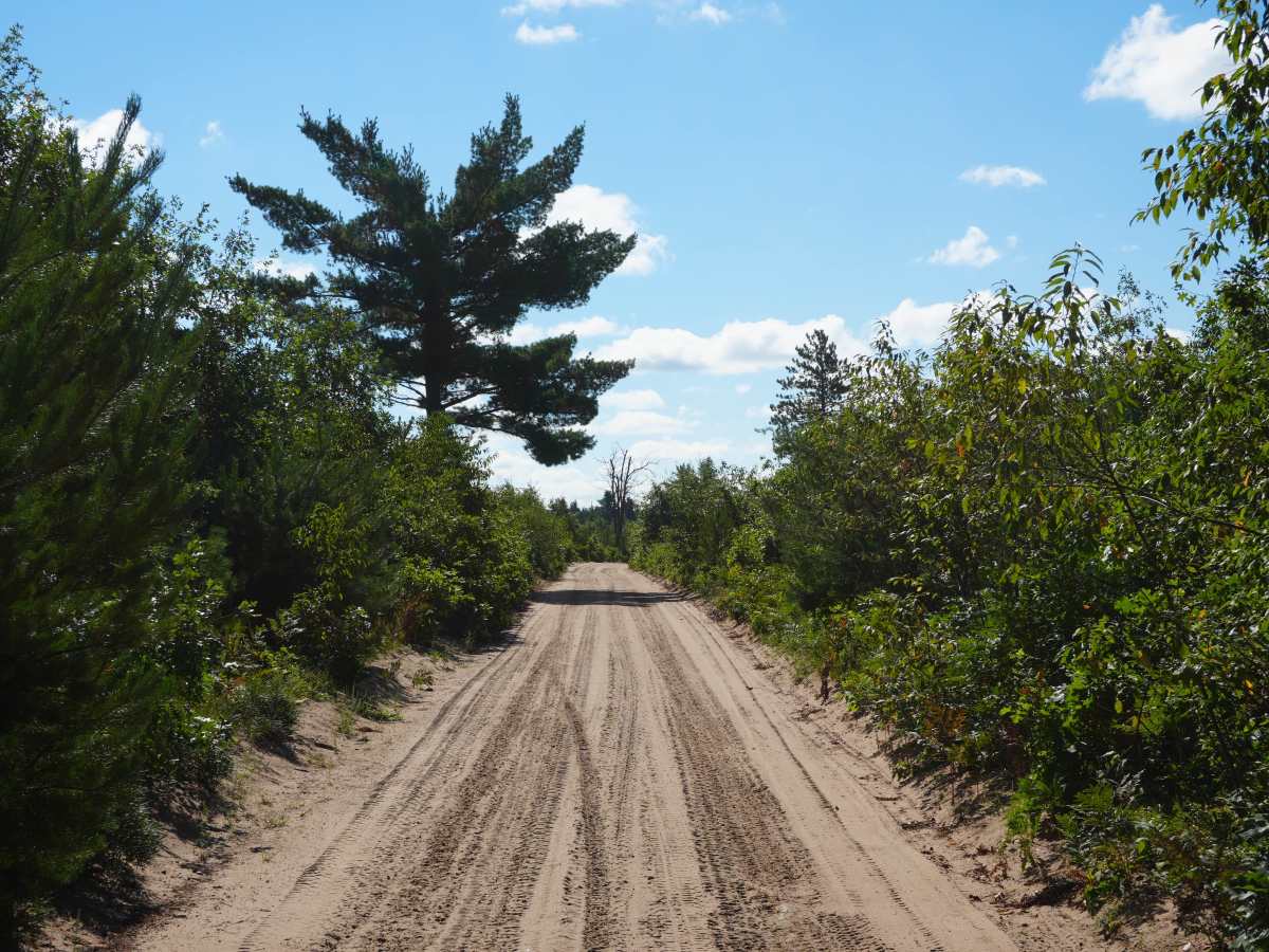 Rollway ORV Trail trail photo