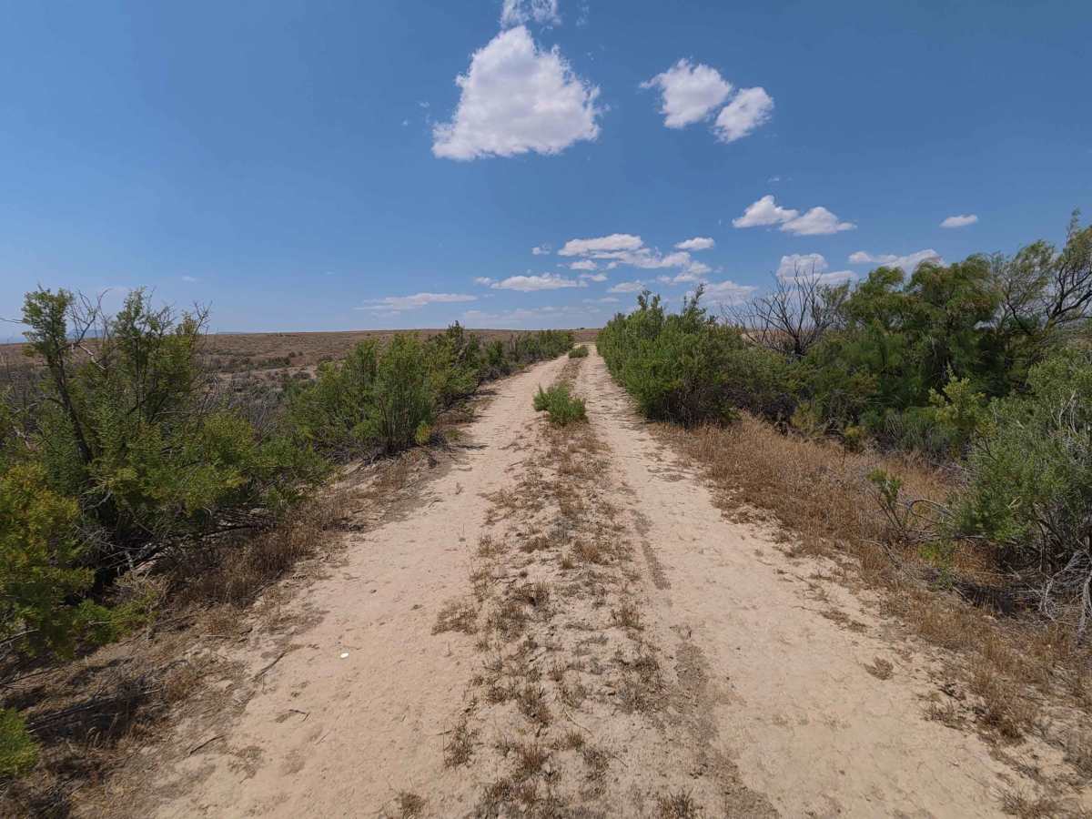BLM 126 trail photo