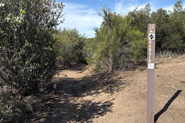 Ranger - Trail 12