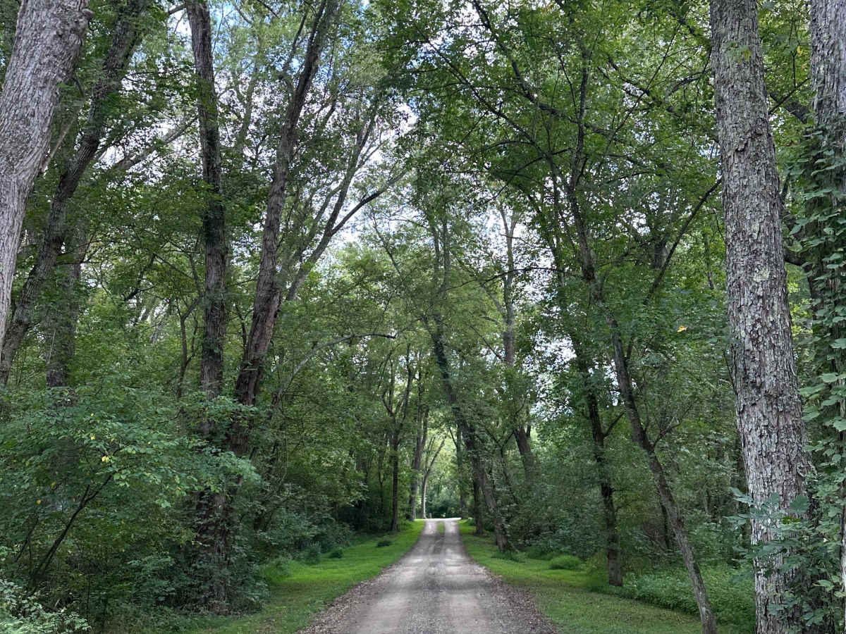Bonds Landing trail photo