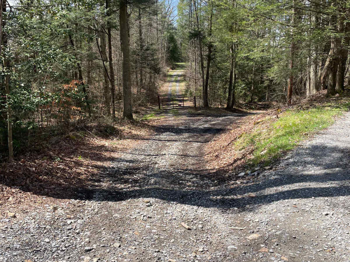 Meadow/Gauley Access Trail photo 3