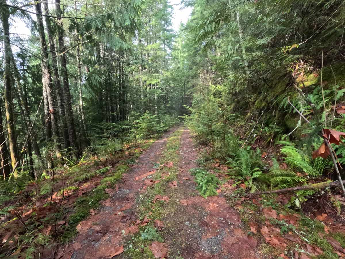 Prairie Mountain - FS 2140 photo 6