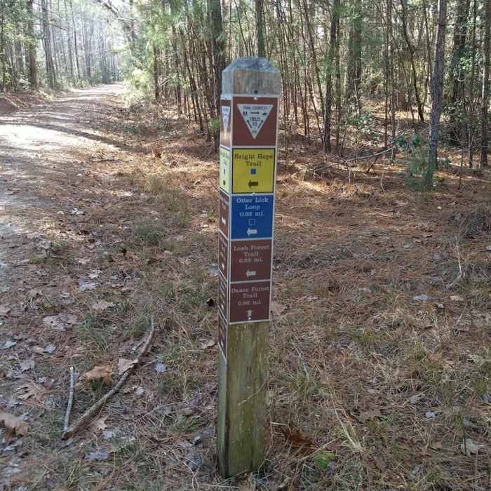 Near Bright Hope Trail and Otter Lick Loop