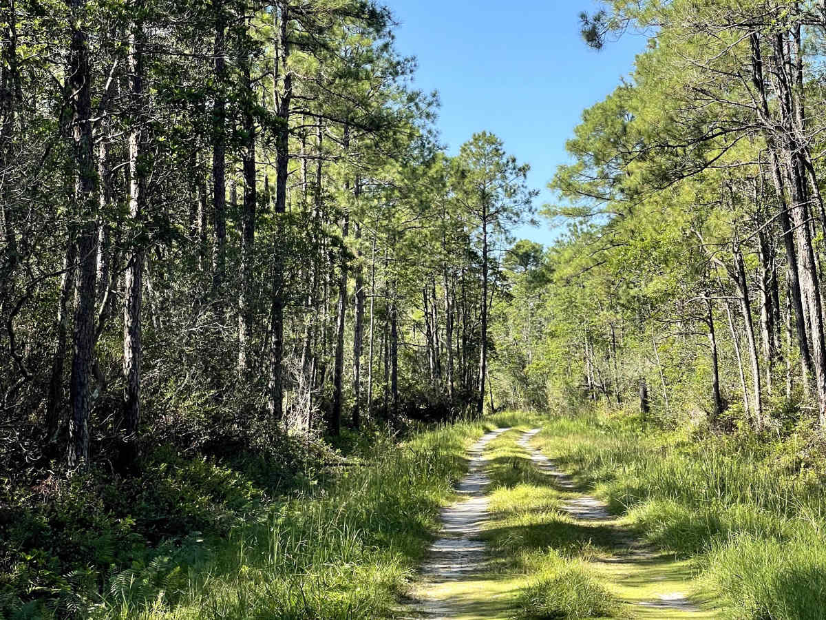Drake Road photo 4