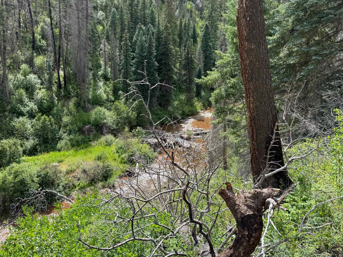 Hermosa Creek Trail (514) photo 3