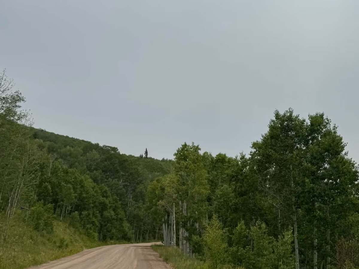 Trappers Lake photo 5