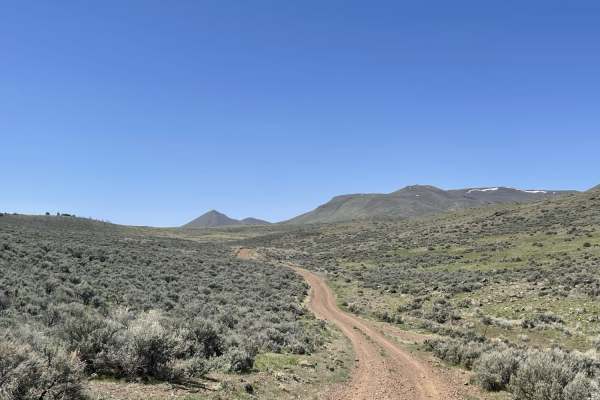 Cow Creek